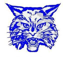image of wildcat logo