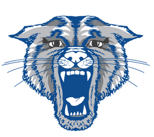 image of wildcat logo
